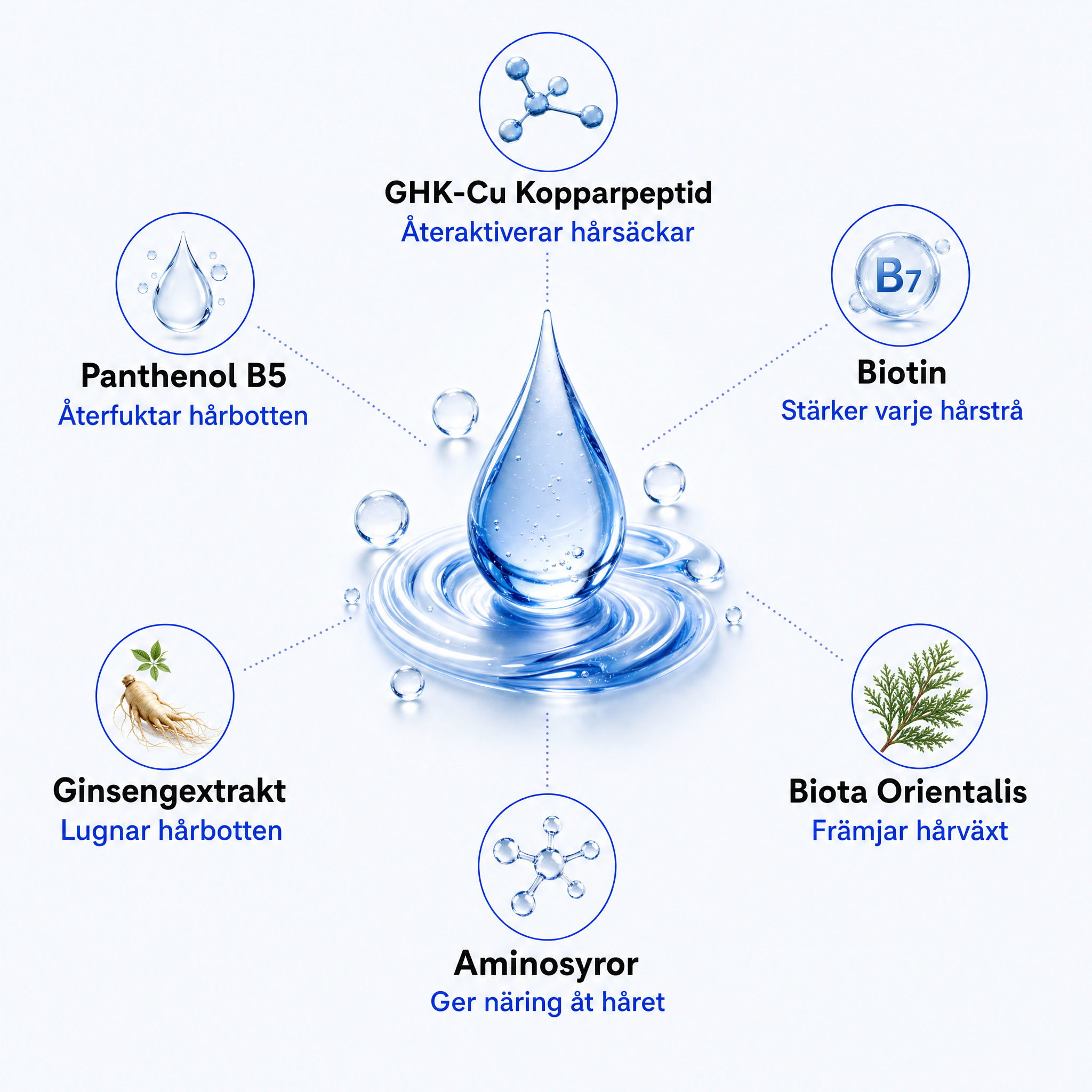 Aktiva ingredienser – GHK-Cu kopparpeptid, biotin, ginseng och panthenol